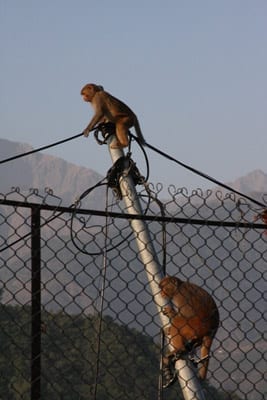 Flying Doctors Mission Trip to Himalayan Mountains, India