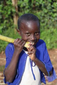 Flying Doctors Mission Trip to Kenya, Africa