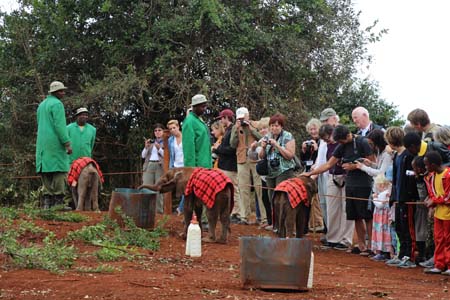 Flying Doctors Mission Trip to Kenya, Africa