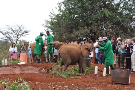 Flying Doctors Mission Trip to Kenya, Africa