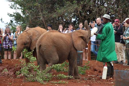 Flying Doctors Mission Trip to Kenya, Africa