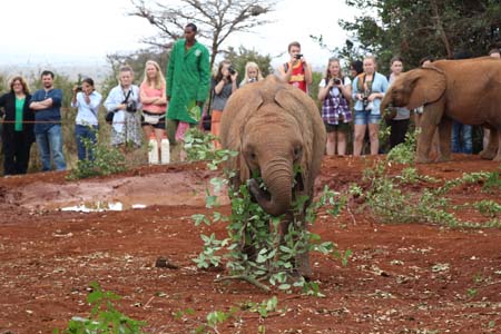 Flying Doctors Mission Trip to Kenya, Africa