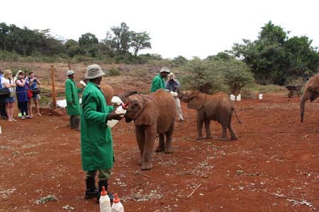Flying Doctors Mission Trip to Kenya, Africa