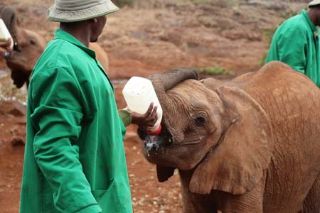 Flying Doctors Mission Trip to Kenya, Africa