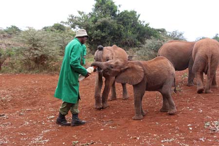 Flying Doctors Mission Trip to Kenya, Africa