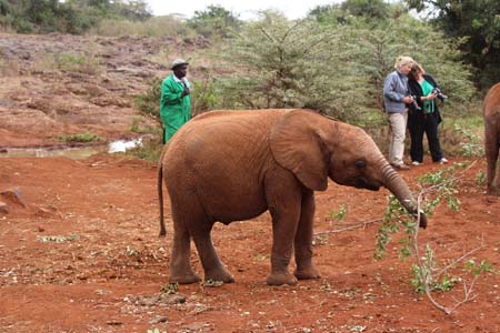Flying Doctors Mission Trip to Kenya, Africa