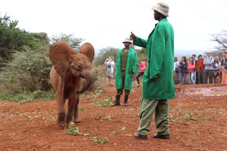 Flying Doctors Mission Trip to Kenya, Africa