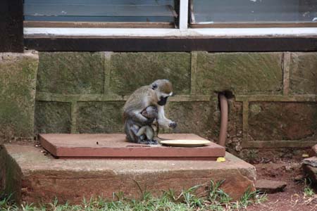 Flying Doctors Mission Trip to Kenya, Africa