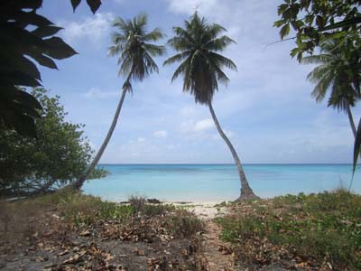 Flying Doctors Mission Trip to Marshall Islands