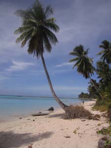 Flying Doctors Mission Trip to Marshall Islands